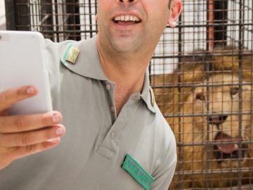 «Quo Vado?»: con Checco Zalone si spera che nonostante tutto possiamo essere migliori