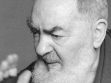 Un weekend di festa al Rosetum