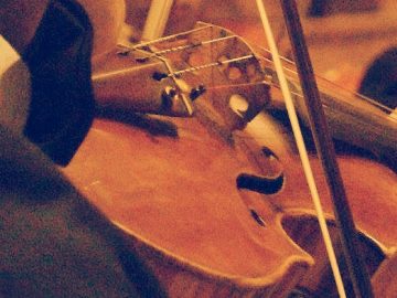 Progressioni armoniche al Rosetum