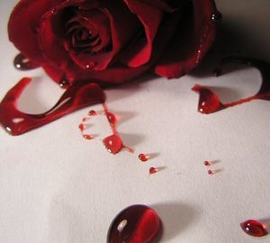 Contro la violenza sulle donne: Capirne le dinamiche per prevenire