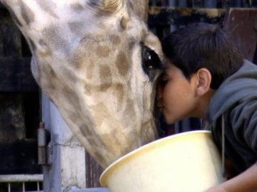 “Giraffada”, la vita di un popolo  che non smette di lottare per un futuro migliore