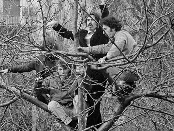 Per la prima volta a Milano il documentario: 1968 – Gli uccelli. Un assalto al cielo mai raccontato