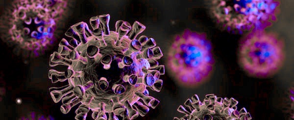 coronavirus sale della communità