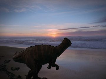 Voyage of Time: un documentario che mette in contatto con il sublime