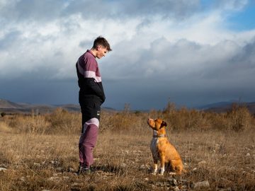 Chien de la casse: giovani maschi alla ricerca di sé