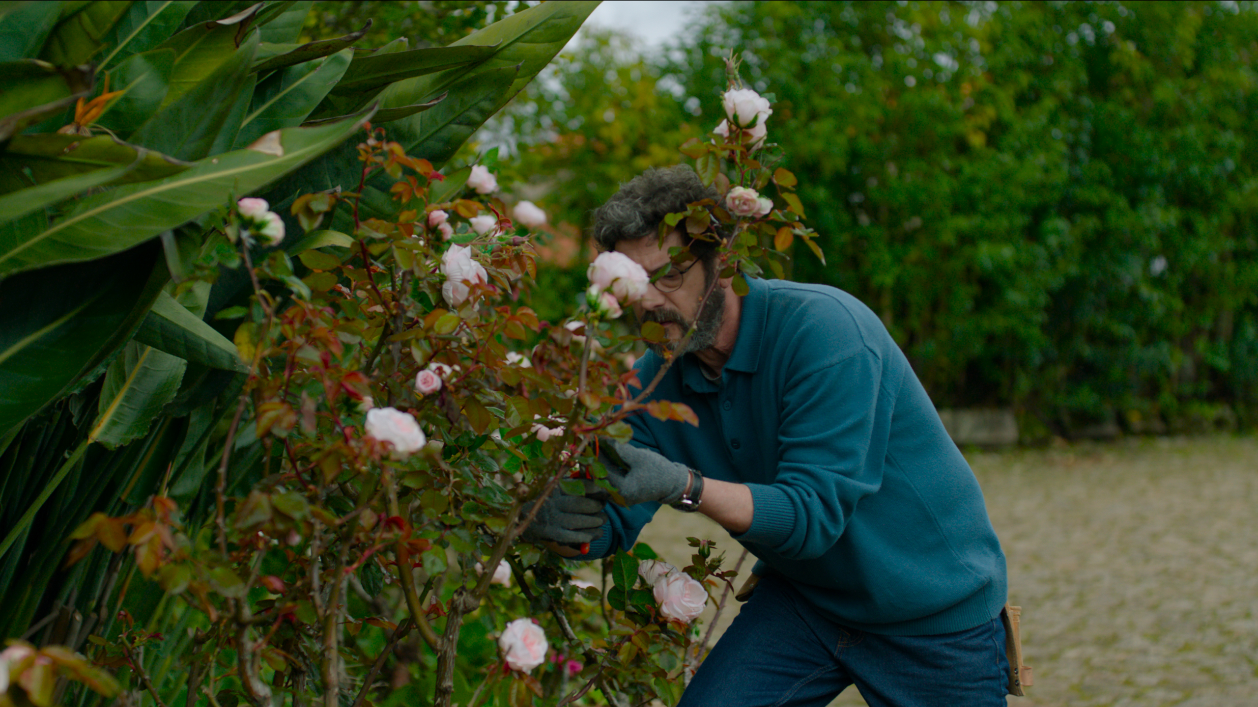 La villa portoghese 5